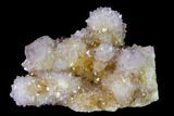 Cactus Quartz (Amethyst) Crystal Cluster - South Africa #137793-1